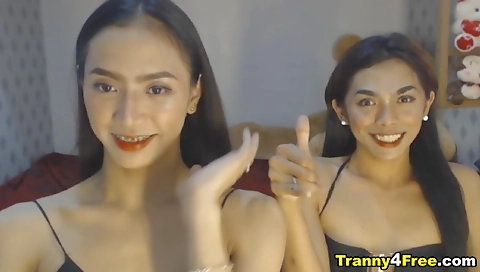 Asian shemale with small tits is getting fucked by a guy