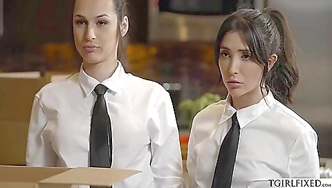 Free Cunnilingus Porn Videos - dreamshemale.com