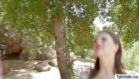 Brunette in a bikini is having anal sex on the beach